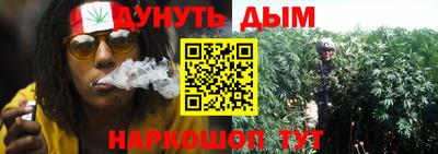 PSILOCYBIN Малоярославец