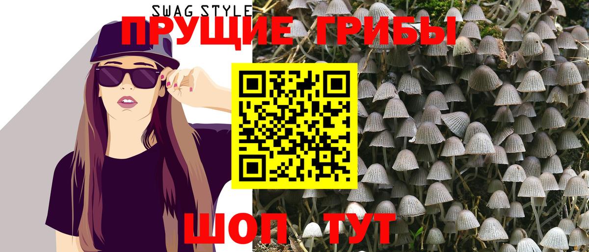 Фурманов  Галлюциногенные грибы Cubensis  Вход с VPN  Галлюциногенные грибы GOLDEN TEACHER 